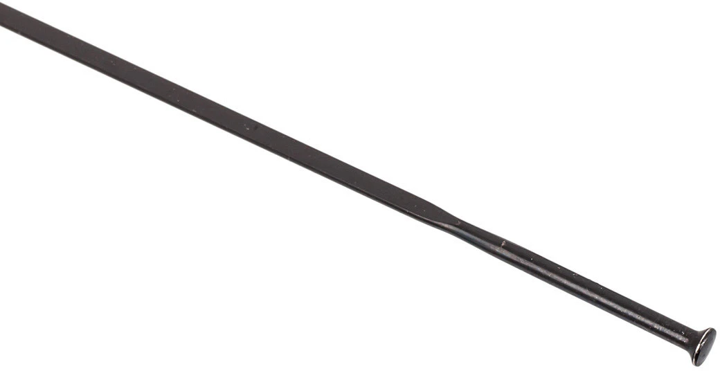 Campagnolo® Scirocco H35 Mm Ersatzspeichen Ab Modell 2013 4 Campagnolo® Scirocco H35 Mm Ersatzspeichen Ab Modell 2013 – Bild 2