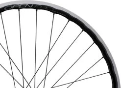 28 + Open Pro UST + Sapim Race 28" Laufrad -Shimano || dt-swiss || Schwalbe Verkäufe 204726