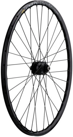 Delux 12 + Open Pro UST Disc + Sapim Race 28" Laufrad