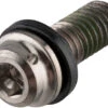 Shimano Titan-Befestigungsschraube Für XTR Bremssättel -Shimano || dt-swiss || Schwalbe Verkäufe 215212