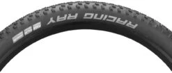 Schwalbe Racing Ray Performance ADDIX 27,5" Faltreifen -Shimano || dt-swiss || Schwalbe Verkäufe 242850