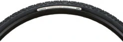 Panaracer GravelKing EXT TLC 28" Faltreifen 12 Panaracer GravelKing EXT TLC 28" Faltreifen -Shimano || dt-swiss || Schwalbe Verkäufe 275587