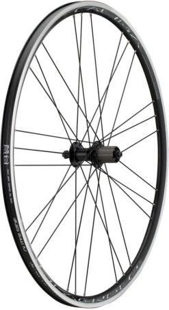 Campagnolo® Calima G3 Laufradsatz -Shimano || dt-swiss || Schwalbe Verkäufe 322806