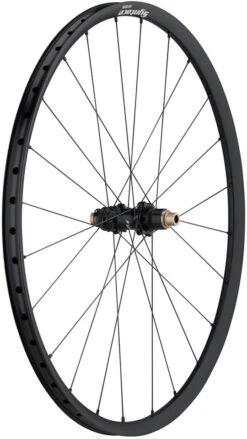 Syntace W25i Alu EVO3 Disc Center Lock 28" Laufradsatz -Shimano || dt-swiss || Schwalbe Verkäufe 323324
