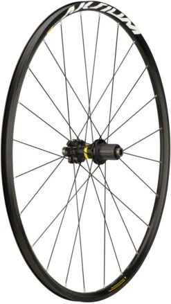 Mavic Aksium Disc 6-Loch Laufradsatz -Shimano || dt-swiss || Schwalbe Verkäufe 324630
