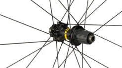 Mavic Aksium Disc 6-Loch Laufradsatz -Shimano || dt-swiss || Schwalbe Verkäufe 324631