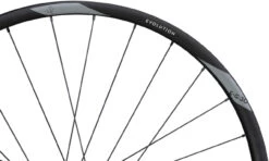 Newmen Evolution SL E.G.30 FADE Boost Disc 6-Loch 29" Laufradsatz -Shimano || dt-swiss || Schwalbe Verkäufe 334574