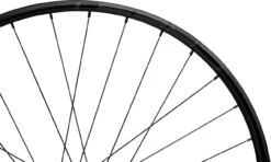 Tune Race 23 Boost Disc 6-Loch 29" Laufradsatz -Shimano || dt-swiss || Schwalbe Verkäufe 342174