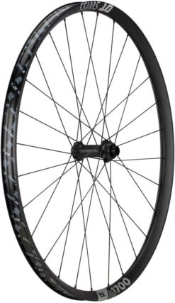 Dt-swiss EX 1700 SPLINE 30 Boost Disc Center Lock 29" Laufradsatz -Shimano || dt-swiss || Schwalbe Verkäufe 345572