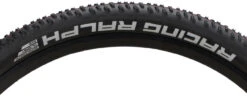 Schwalbe Racing Ralph Evolution ADDIX Speed Super Ground 29" Faltreifen -Shimano || dt-swiss || Schwalbe Verkäufe 346229