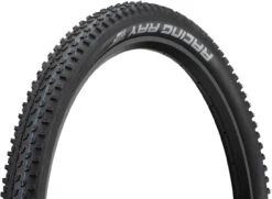 Schwalbe Racing Ray Evolution ADDIX SpeedGrip Super Ground 29" Faltreifen 11 Schwalbe Racing Ray Evolution ADDIX SpeedGrip Super Ground 29" Faltreifen -Shimano || dt-swiss || Schwalbe Verkäufe 346236
