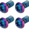 SRAM Befestigungsschrauben Titan Für Bremsscheiben