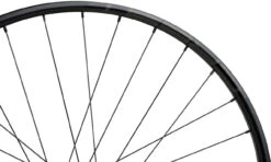 Tune Race 23 Boost Disc Center Lock 29" Laufradsatz - Auslaufmodell 33 Tune Race 23 Boost Disc Center Lock 29" Laufradsatz - Auslaufmodell -Shimano || dt-swiss || Schwalbe Verkäufe 377752