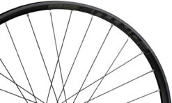 HOPE Pro 4 + Fortus 26 Disc 6-Loch 29" Boost Laufradsatz 27 HOPE Pro 4 + Fortus 26 Disc 6-Loch 29" Boost Laufradsatz -Shimano || dt-swiss || Schwalbe Verkäufe 395309