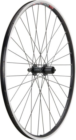 Urban Acera V-Brake DT Swiss 535 28" Laufradsatz -Shimano || dt-swiss || Schwalbe Verkäufe 396792