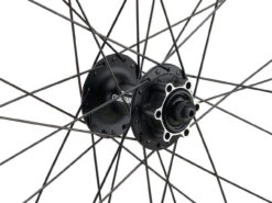 Mountain Alivio Disc 6-Loch DT Swiss 466d 29" Laufradsatz 25 Mountain Alivio Disc 6-Loch DT Swiss 466d 29" Laufradsatz -Shimano || dt-swiss || Schwalbe Verkäufe 399633