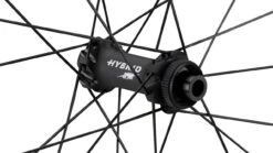 Dt-swiss HEC 1400 SPLINE 47 Carbon Boost Disc CL Hybrid 28" Laufradsatz -Shimano || dt-swiss || Schwalbe Verkäufe 437026