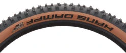 Schwalbe Hans Dampf Evolution ADDIX Soft Super Trail 29+ Faltreifen -Shimano || dt-swiss || Schwalbe Verkäufe 446918