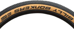 Schwalbe Billy Bonkers Performance ADDIX 26" Faltreifen -Shimano || dt-swiss || Schwalbe Verkäufe 455186