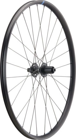 RITCHEY WCS Zeta GX Disc Center Lock 28" Laufradsatz -Shimano || dt-swiss || Schwalbe Verkäufe 456493