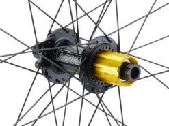 Tune Race 29 Endurance Boost Disc 6-Loch 29" Laufrad -Shimano || dt-swiss || Schwalbe Verkäufe 461144