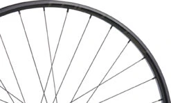 Tune Race 29 Endurance Boost Disc 6-Loch 29" Laufrad -Shimano || dt-swiss || Schwalbe Verkäufe 461145