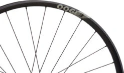 Dt-swiss E 1900 SPLINE 30 Disc Center Lock 29" Laufradsatz -Shimano || dt-swiss || Schwalbe Verkäufe 470088