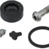 SRAM Bremssattel Kolben Service-Kit Für Red AXS D1